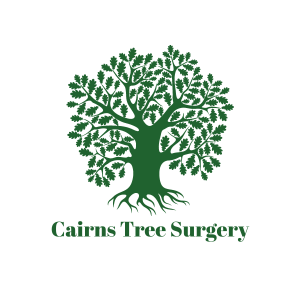 Oak tree and Cairns Tree Surgery Text