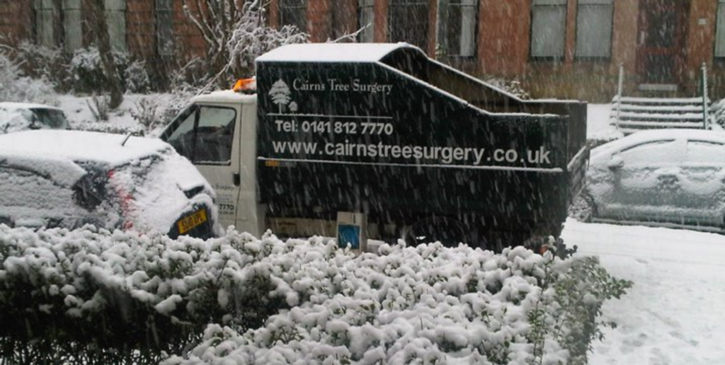 CTS Van in snow